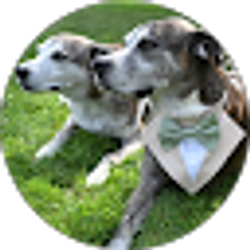 Profile photo of Brian Gasior