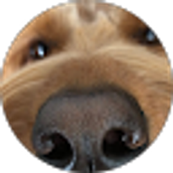 Profile photo of Patricia Nichols,