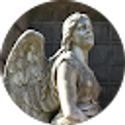 Profile photo of Danielle Jarecki