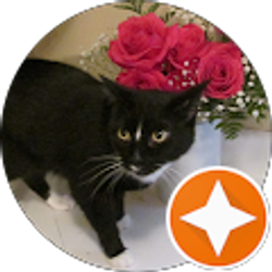 Profile photo of a webster