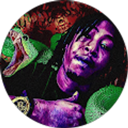 Profile photo of Nicholas Winfrey (VAVU)