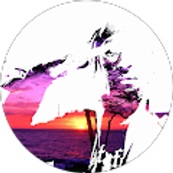 Profile photo of Cedric Haynes