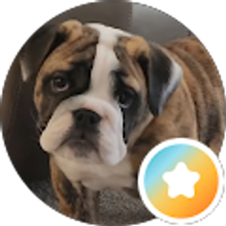 Profile photo of CookieD456