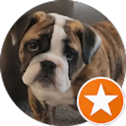 Profile photo of CookieD456