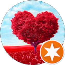 Profile photo of sairam konala