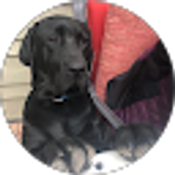 Profile photo of Dave Pearson