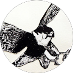 Profile photo of ShadowX Falcon28