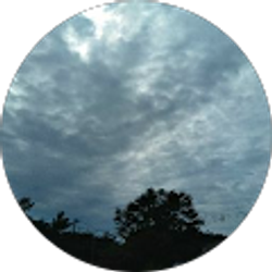 Profile photo of Chandra Costin