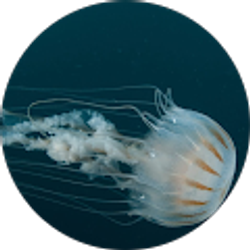 Profile photo of Michael Barnett