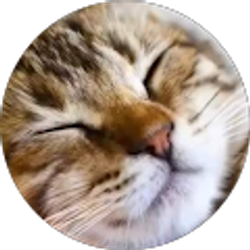 Profile photo of Sandbox Coloring and fun!