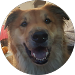 Profile photo of J N