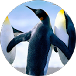 Profile photo of Ted Roberts