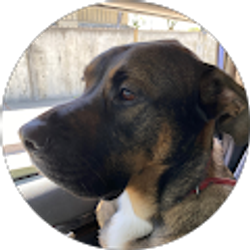 Profile photo of Erica Hagen