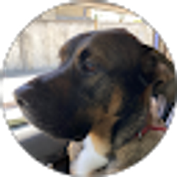 Profile photo of Erica Hagen