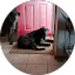 Profile photo of dave g