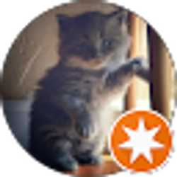 Profile photo of Deb S