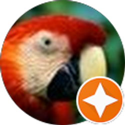 Profile photo of Daryl Unruh