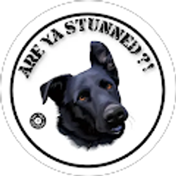 Profile photo of Logan Clairmont