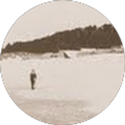 Profile photo of Dagmar Gewiese