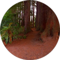 Profile photo of sabir ali Khan