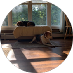 Profile photo of Angela Gulbranson