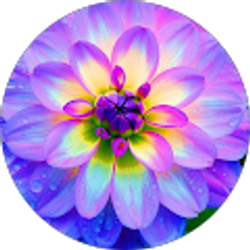 Profile photo of Sarah Peterson