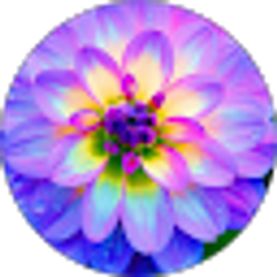 Profile photo of Sarah Peterson