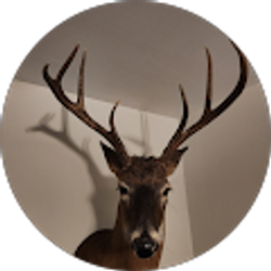 Profile photo of Justin Jones