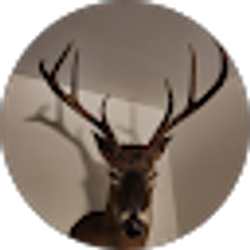 Profile photo of Justin Jones