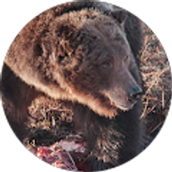 Profile photo of Cheryl Jones