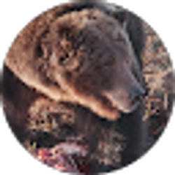 Profile photo of Cheryl Jones