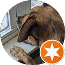 Profile photo of Matt Wieland