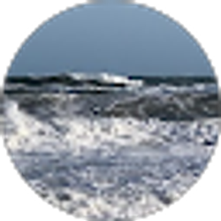 Profile photo of Allison Iliffe