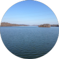 Profile photo of Terence Normoyle