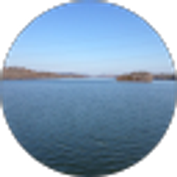 Profile photo of Terence Normoyle