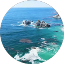 Profile photo of Wujie Li