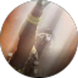 Profile photo of Eddie Ledesma