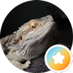 Profile photo of Napoleon Himede - Insurance Advisor