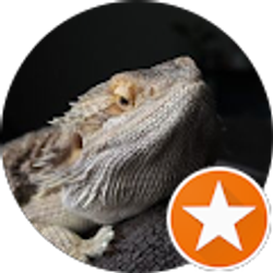 Profile photo of Napoleon Himede - Insurance Advisor