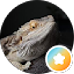 Profile photo of Napoleon Himede - Insurance Advisor