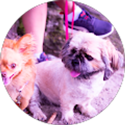 Profile photo of Hanh Le