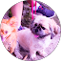 Profile photo of Hanh Le