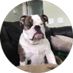 Profile photo of Kaitlyn M