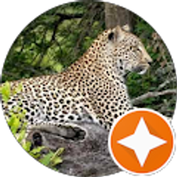 Profile photo of cee Bush