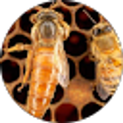 Profile photo of Joan Houston