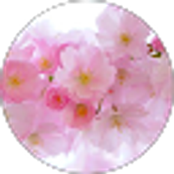 Profile photo of Helen Chun