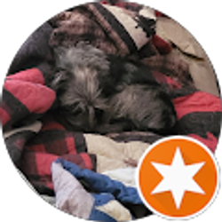 Profile photo of Allan Sidell