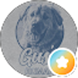 Profile photo of Katie W