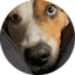 Profile photo of Tasha Adkins