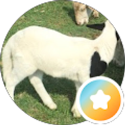 Profile photo of Rusty & Janett Wolfard